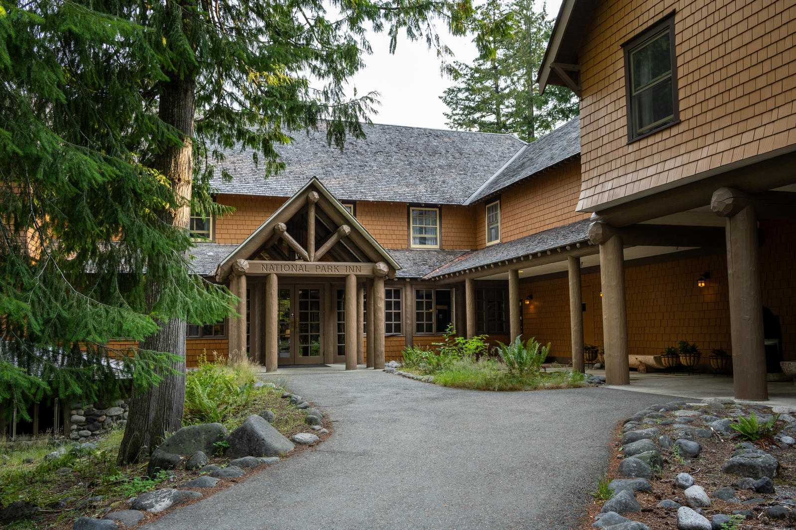 shutterstock_2501165369