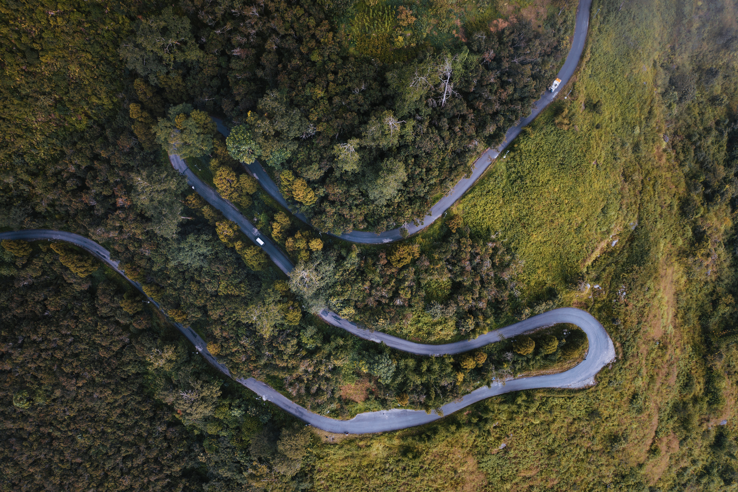 shutterstock_1700534221