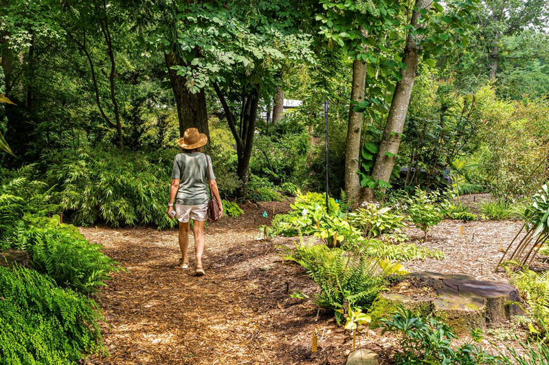 shutterstock_2334832301