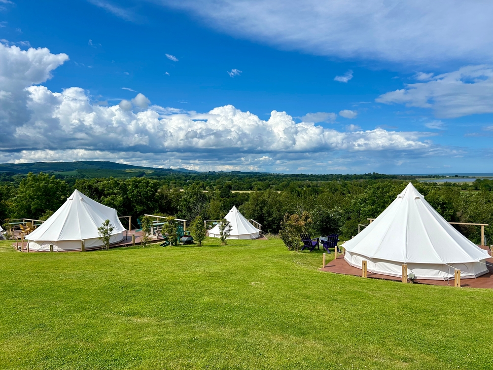 shutterstock_2477449681